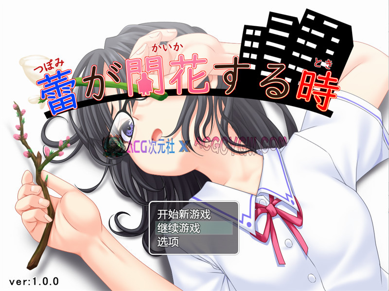 【探索RPG/汉化】花蕾绽放之时 内嵌汉化版【PC/2.82G】-ACG次元社-单机游戏-电脑游戏、手机游戏下载